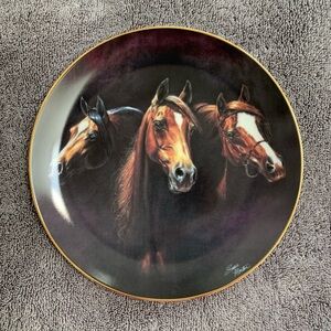 Danbury Mint ENTERING THE LIGHT Equestrian Collectors Plate